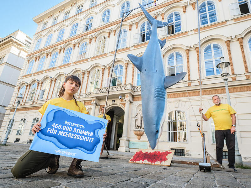 綠色和平行動者在奧地利外交部大樓外，展示巨大鯊魚悲慘命運，呼籲當局保護海洋、守護海洋的未來。© Mitja Kobal / Greenpeace