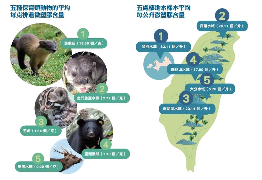 圖為《難逃塑命》微塑膠調查的保育類動物與棲息地水樣本微塑膠含量比較。 © Greenpeace