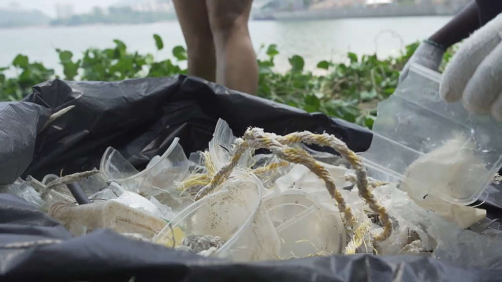 沙灘上的塑膠垃圾種類繁多，包括不少即棄餐具、外賣容器等。 © Greenpeace