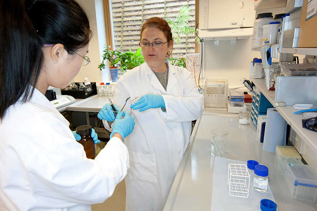 綠色和平科學家 Iryna Labunska（右）和 Melissa Wang （左），檢測水體樣本中是否含有有害化學物質。© Alex Stoneman / Greenpeace