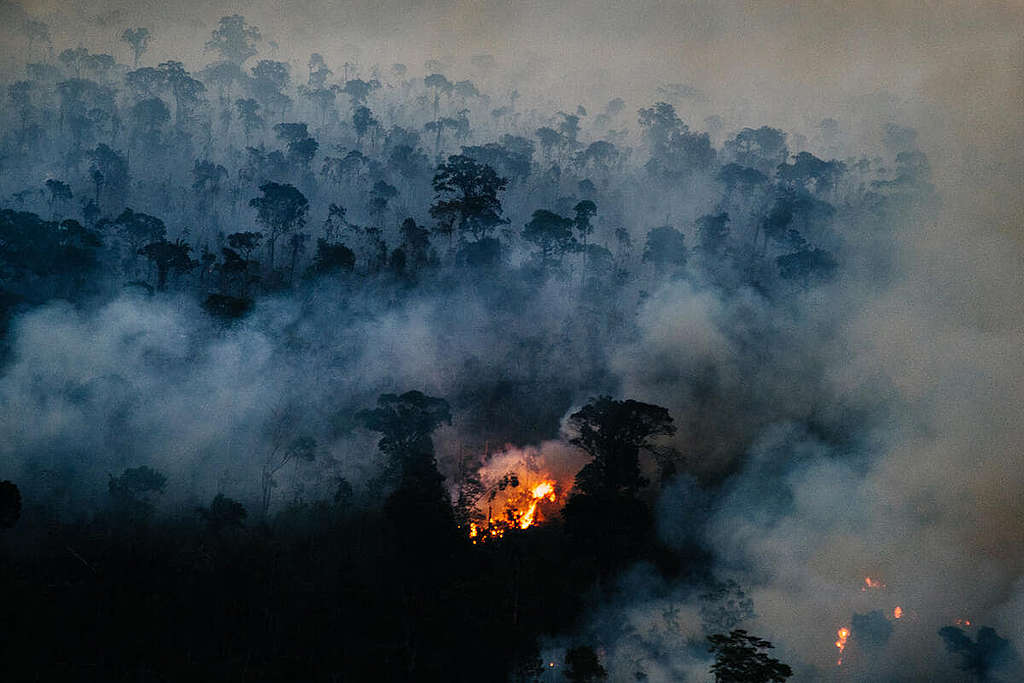 綠色和平持續實地監測亞馬遜大火災情，今年 8 月就記錄到亞馬遜州馬尼科雷河一帶森林火光熊熊、煙霧瀰漫。 © Christian Braga / Greenpeace
