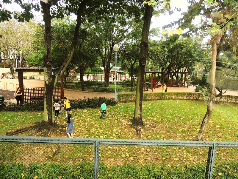 公園靠聯合道這邊,小朋友在大樹草地間玩耍,享受自由和自然。 © helen yip