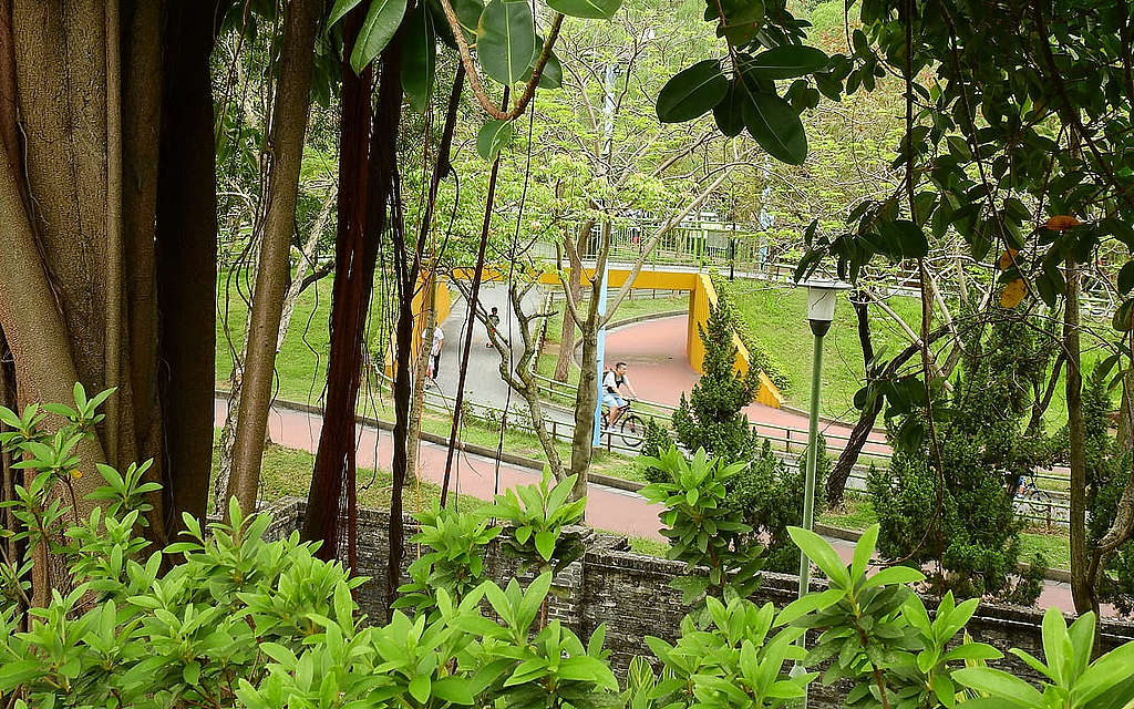 賈炳達道公園單車徑有平路、橋樑,與周遭草木扶疏的綠色園景融合,在此踩單車應該有如置身郊外的心曠神怡感受。 © helen yip