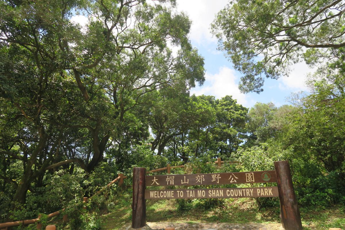 香港的郊野公園，對大眾而言是寶貴的自然資源。圖為大帽山郊野公園，一般市民喜到此一遊，運動員也把這裡視為常到之地。© Greenpeace 