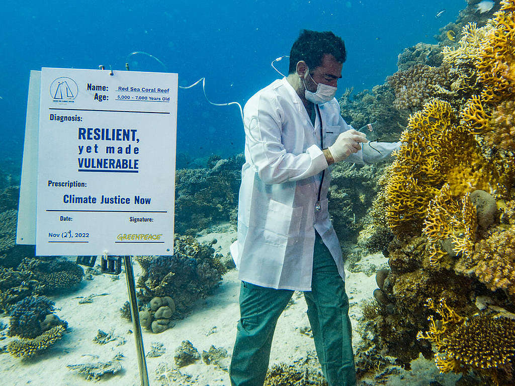 2022 年 11 月，第 27 屆聯合國氣候大會（COP27）假埃及沙姆沙伊赫召開，綠色和平船艦彩虹勇士號會前展開「聯合爭取氣候公義」（United for Climate Justice）之旅，期間發表報告披露紅海珊瑚礁已屆海洋暖化臨界點，若升溫持續恐引發大規模白化，並邀請自由潛水好手 Faisal Khalaf 化身氣候醫生「問診」，喚起公眾關注氣候危機。 © Mo Jo Hammoud / Greenpeace