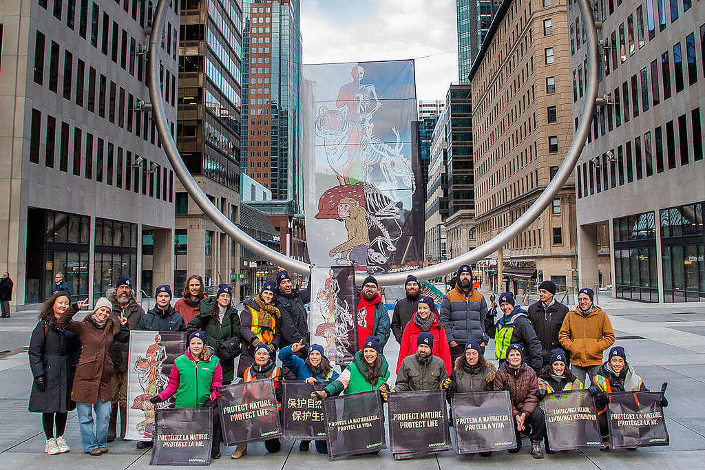 2022 年 12 月 8 日，聯合國生物多樣性大會（COP15）開幕之際，綠色和平加拿大行動者在蒙特利爾的 L'Anneau 裝置藝術前，以長約 14 米的直幡和多國標語，呼籲與會領袖制訂足以保護自然和原住民權利的協議。 © Toma Iczkovits / Greenpeace