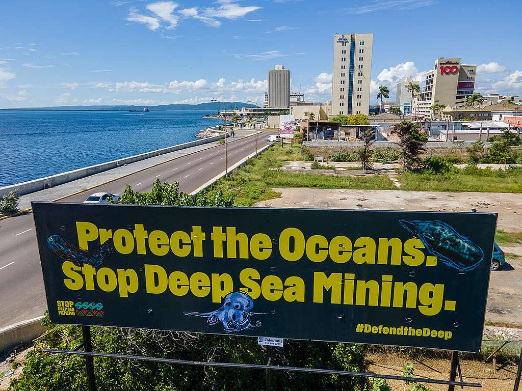 2022 年 11 月 ISA 理事會會議期間，綠色和平與聯盟夥伴於牙買加京士頓會場外豎立廣告板，促請與會各國叫停深海採礦，攜手保護海洋。 © Taylor2nd Multimedia / Greenpeace