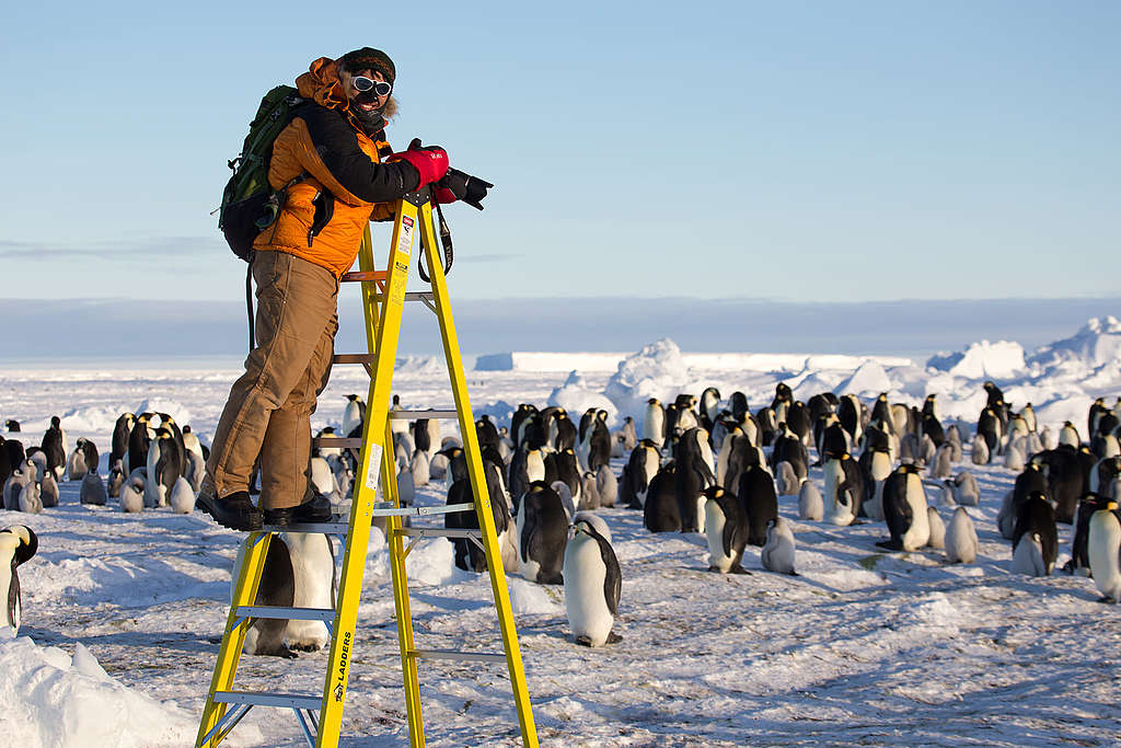 2015 年，我有幸與鳥類學家研究團隊一起，在南極威德爾海冰架（Weddell Sea Ice Shelf）拍攝和研究皇帝企鵝。 © Wilson Cheung