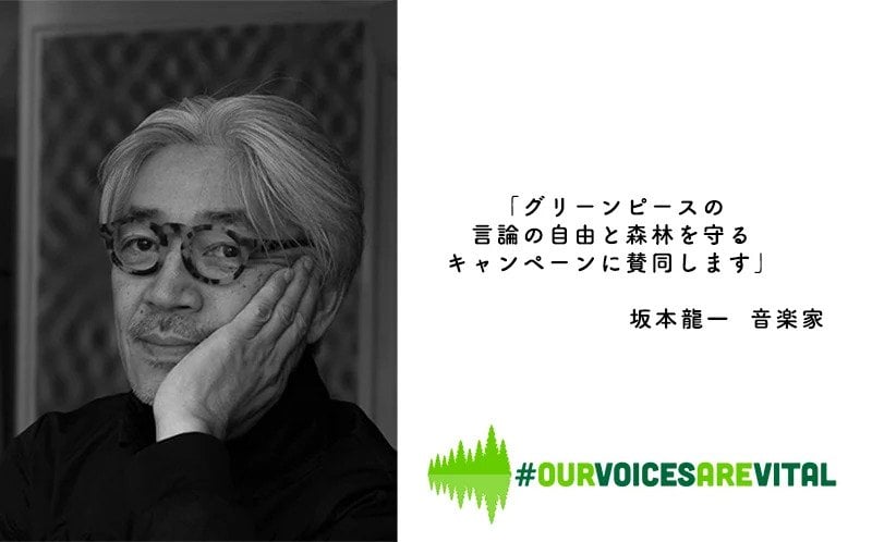 坂本龍一聲援綠色和平 “#OurVoicesAreVital” 倡議，繼續發聲守護森林。