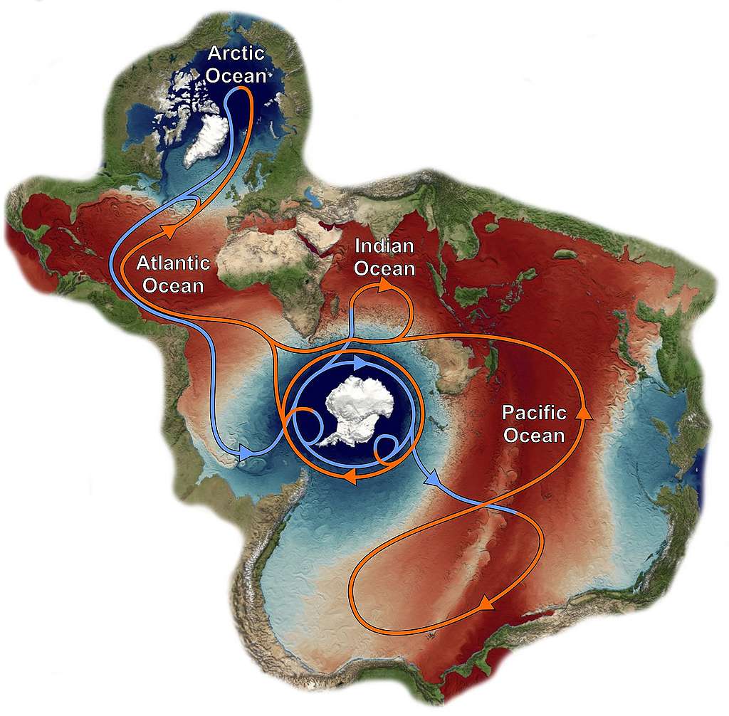 南冰洋是太平洋、大西洋和印度洋以南的海域，也連接了所有主要海盆，但北冰洋除外。 © Huw Griffiths