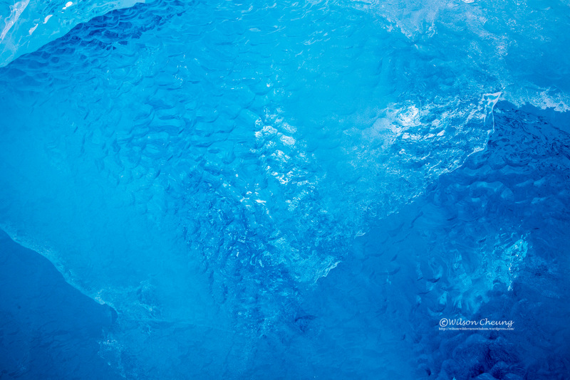 為何南極冰山呈現藍色？因為這些冰經過百萬年擠壓形成高密度，影響光線吸收，相比北極冰山更顯蔚藍。 © Wilson Cheung