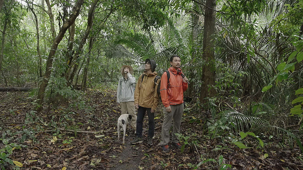 洪永城（右起）與同行主持布樂文、胡美貽深入亞馬遜森林拍攝旅遊節目，實地上一課「亞馬遜生態堂」。 TVB J2《阿媽唔信我去亞馬遜》提供