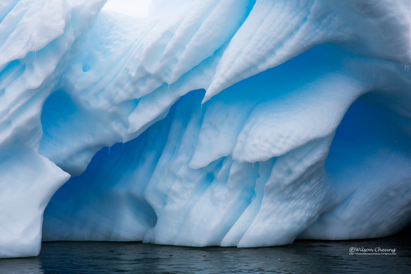 南極洲包含了全球約 90% 冰量，因此從冰架脫落的冰山，可以是長度逾百公里的龐然大物。 © Wilson Cheung
