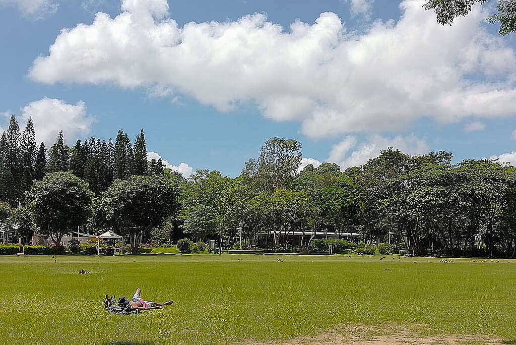 提防中暑的前提下，欣賞這位朋友自在地享受陽光青草綠樹藍天白雲。 © helen yip