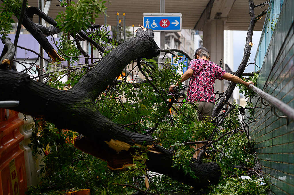 超強颱風「蘇拉」 9 月 1 日吹襲香港，多區在十號颶風信號下出現塌樹、水浸，猶幸未有在市面造成 2018 年「山竹」般的大規模破壞。 © Greenpeace