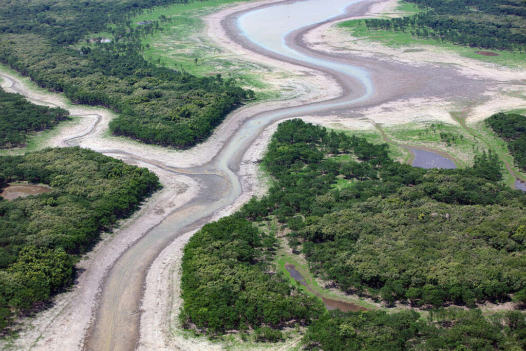 巴西亞馬遜州淪為極端乾旱重災區，部份河道露出乾涸河床，航運交通大受影響。 © Marizilda Cruppe / Greenpeace