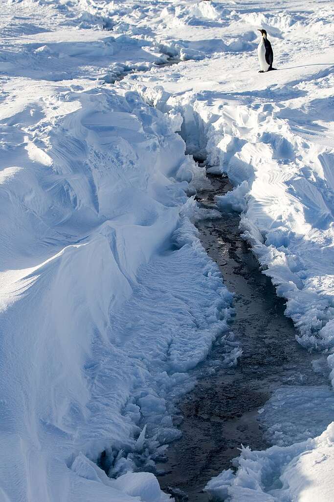 南極威德爾海海冰上突然出現的裂縫，象徵海冰急速融化。 © Wilson Cheung