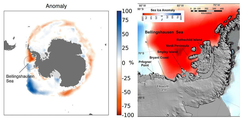 左圖顯示南極貝靈薩斯海區於 2022 年 11 月的海冰密度下降達 100%；右圖則標示區內五個皇帝企鵝繁殖地點，其中四個均因海冰破裂而發生皇帝企鵝大規模繁殖失敗事件。 source: https://doi.org/10.1038/s43247-023-00927-x