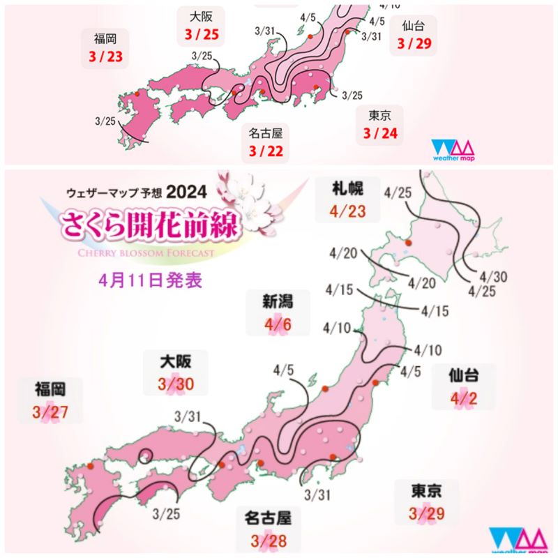 受短期天氣與溫度變化影響，日本氣象機構 Weathermap 原本預測名古屋及東京的櫻花季節「比往年早到」（上圖），後來調整至分別於 3 月 28 日及 3 月 29 日迎來櫻花「初開」（下圖）。 © Weathermap