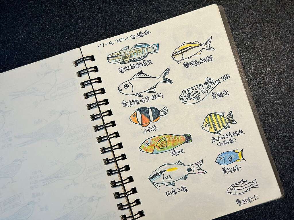 Kami 不單喜歡上山,也喜歡浮潛。她亦會畫下見到的魚類作為紀錄,自作手繪的魚類圖冊。© Kami