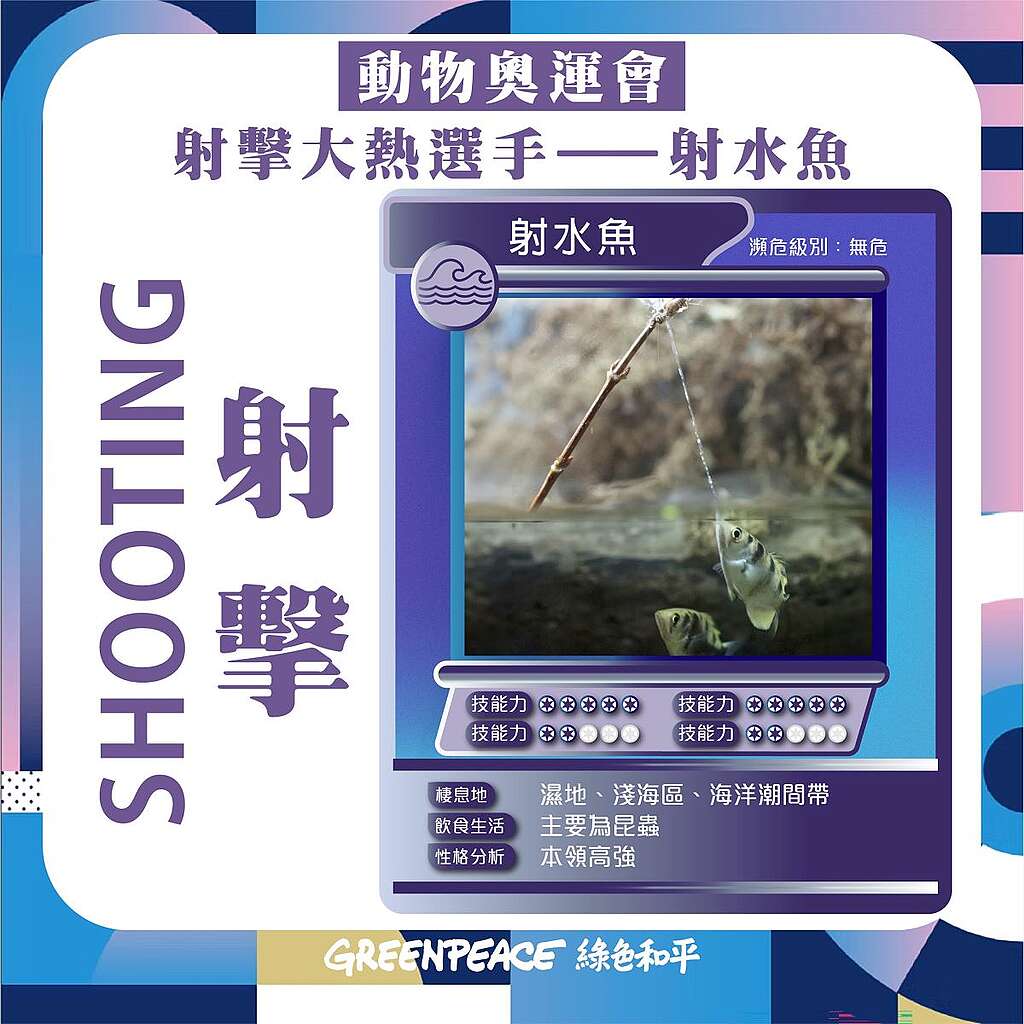 射擊:射水魚 © Greenpeace