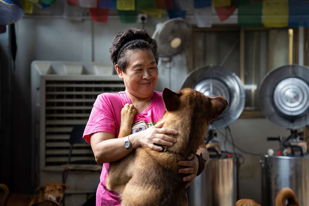 Angela 收容的 500 隻狗狗,每隻都有牠獨一無二的名字,「照顧浪浪,係我對佢哋一生一世嘅承諾嚟嘅;係好辛苦,面對好多困難、好多唔開心嘅嘢,但我都唔會動搖」。 © Greenpeace