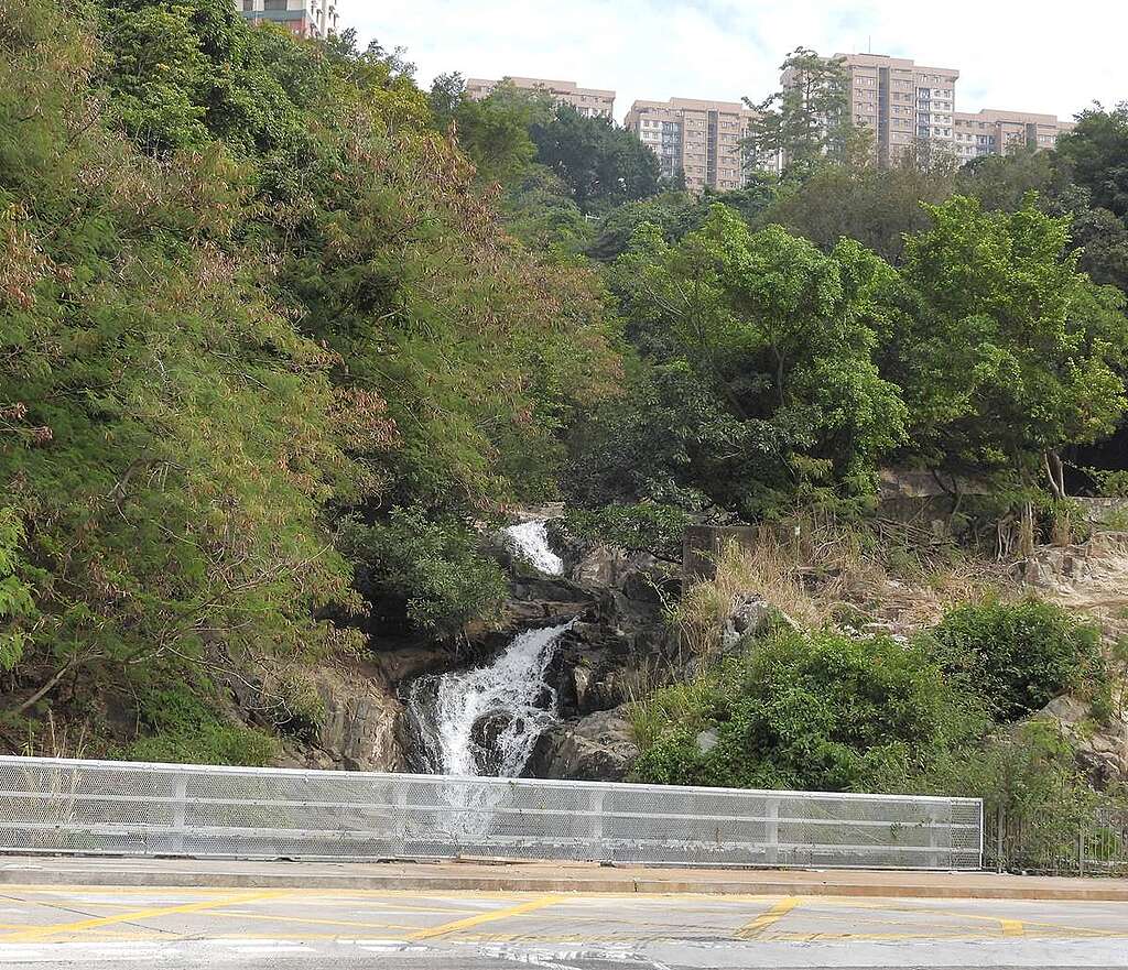 溪流從薄扶林山上經過雞籠灣,來到域多利道,試想像雨季時的水勢!(註:看圖右山坡植被去掉,工程邊緣已逼近)。高處見置富花園。 © helen yip