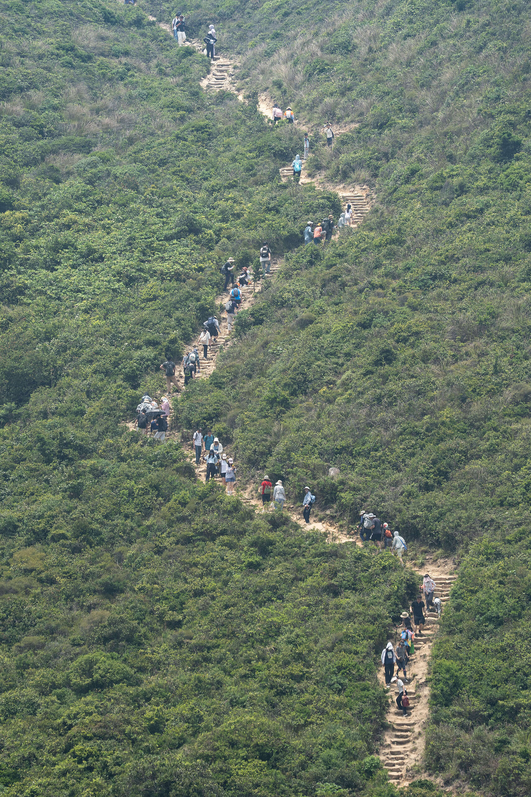 前住破邊洲的遊人絡繹不絕(綠色和平提供)