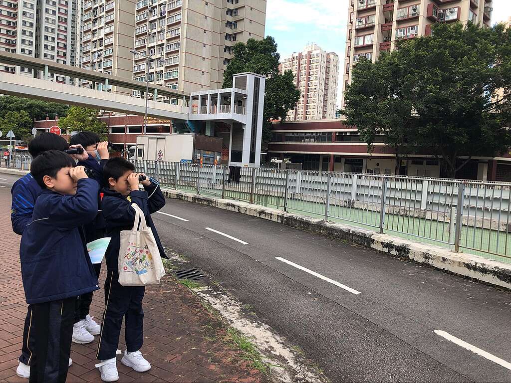 綠色和平「城市保衛隊」課程可按照學校所在地區，度身訂造生態導賞路線，配合活動工作紙鼓勵同學尋找、觀察、記錄，讓他們重新認識社區，從而養成愛護環境的責任心。 © Greenpeace