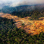 COP30是什麼？為何在亞馬遜舉行？綠色和平帶你了解5大關鍵