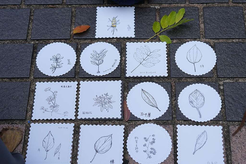 隨「森」看城市植物速寫班部份參加者作品，白千層、龍船花、粉葉羊蹄甲等植物躍然紙上。 © Greenpeace