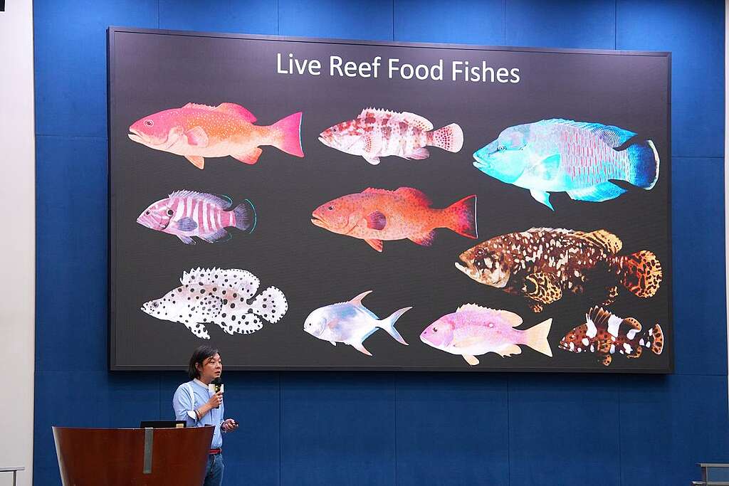 BLOOM Association 香港分會海洋項目總監佘國豪先生，作為《香港的珊瑚魚──114°e普查日誌及圖鑑》的其中一位編者，分享海洋保育故事。 © Greenpeace