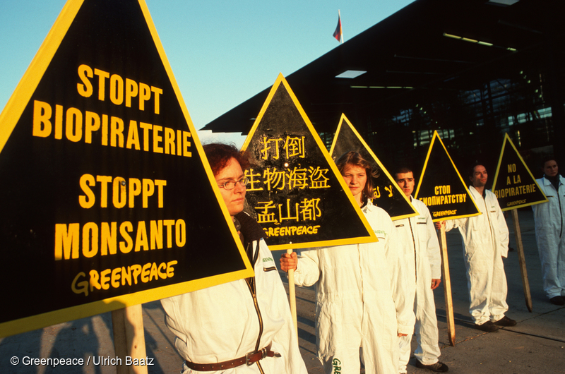 © Greenpeace / Ulrich Baatz