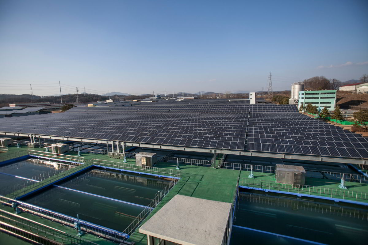 © Greenpeace / Jean Chung