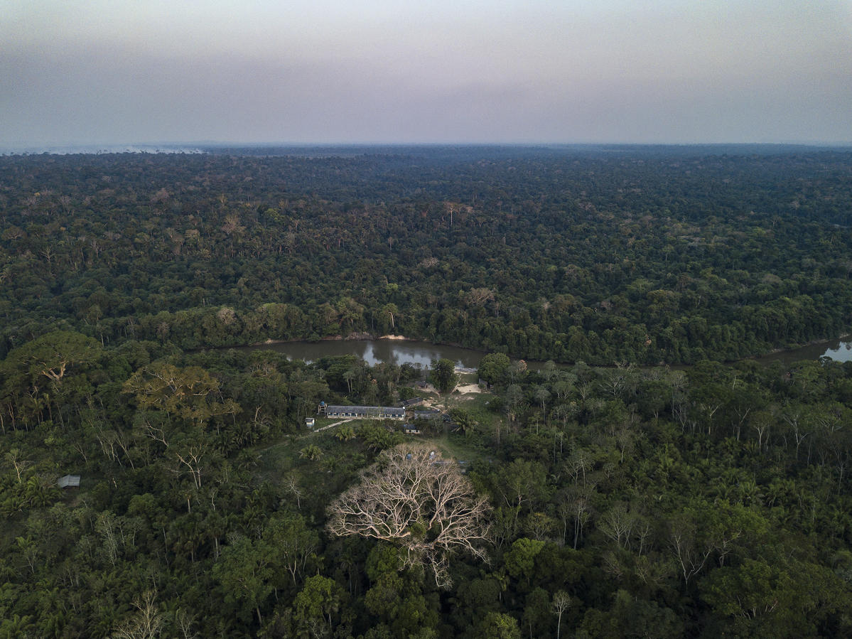 Karipuna原住民村落名為Panorama，而領土東北面就是傑西帕拉納河畔。 © Rogério Assis / Greenpeace