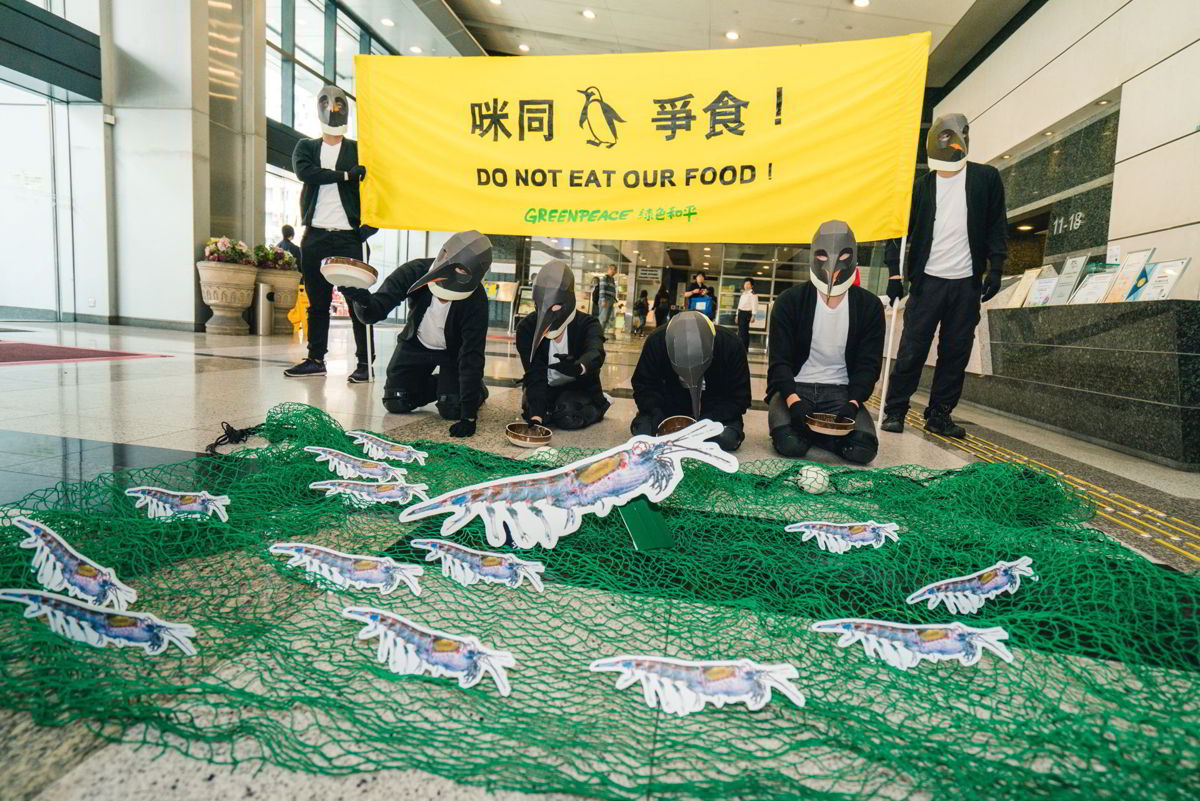 綠色和平香港辦公室2018年響應「守護南極」項目:化身企鵝的行動者到漁護署請願,促請當局增配人手及資源履行《南極海洋生物資源養護公約》。 © Greenpeace / Patrick Cho