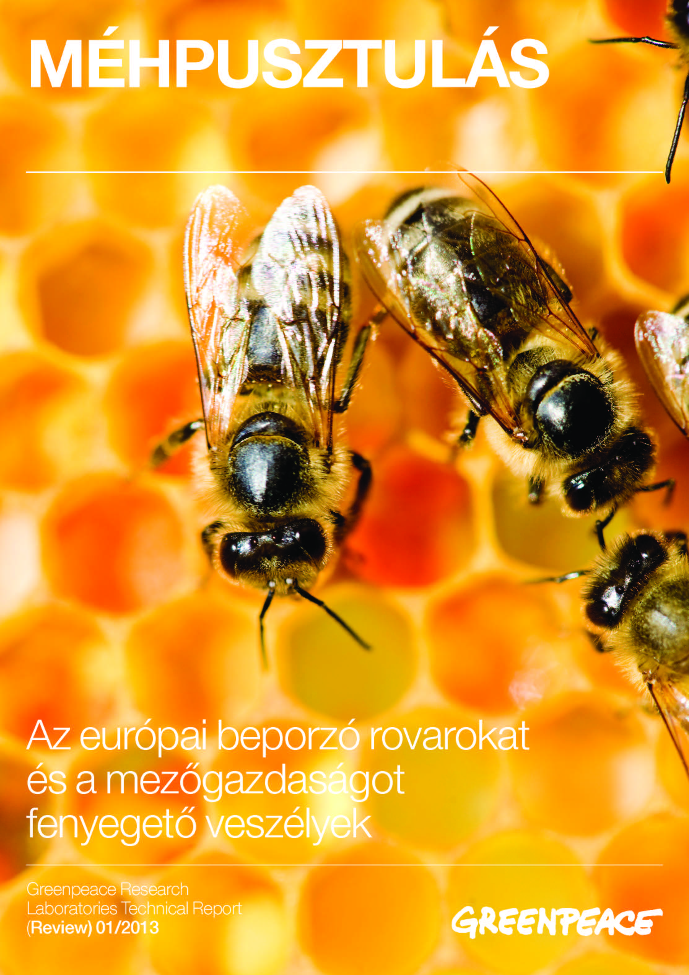Méhpusztulás – összefoglaló