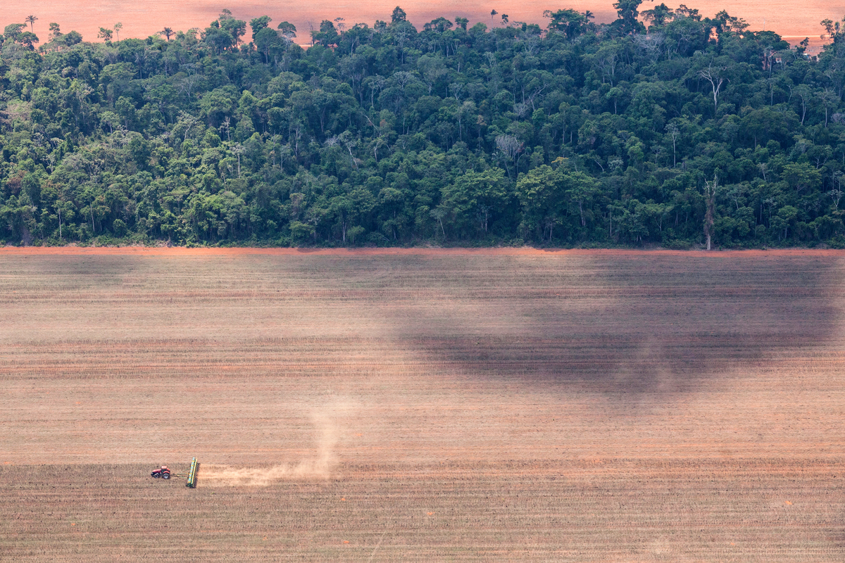 Erdőirtás Mato Grosso-ban. © Paulo Pereira / Greenpeace
