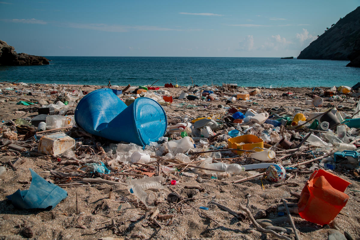 Plastic Brand Audit Activity in Greece. © Constantinos Stathias / Greenpeace