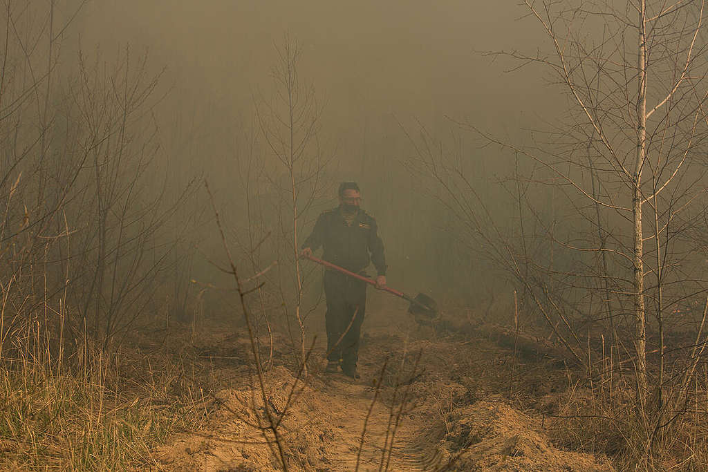 Forest Fire near Chernobyl. © Oksana Parafeniuk / Greenpeace