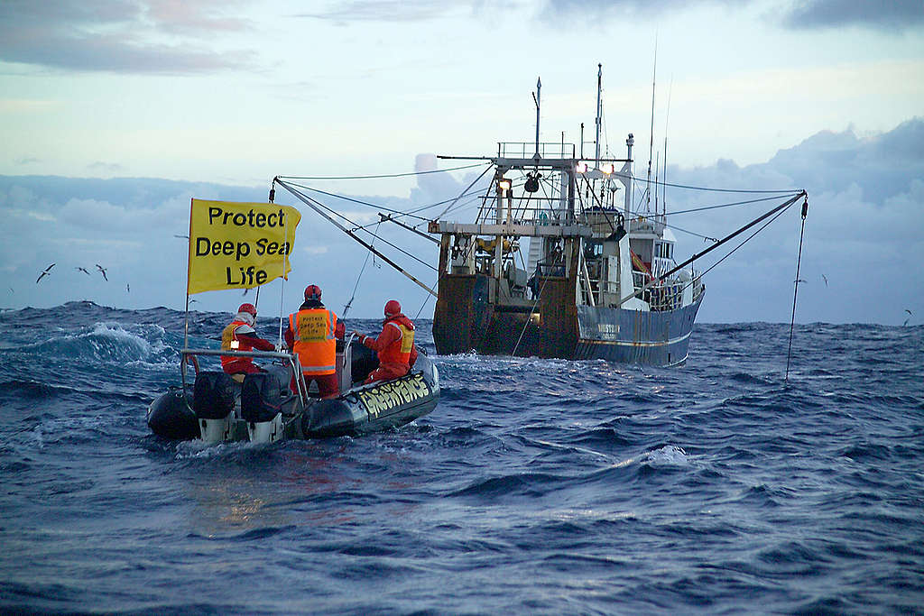 Monitoring Deep Sea Trawling, Tasman Sea. © Greenpeace / Malcolm Pullman Monitoring Deep Sea Trawling, Tasman Sea. © Greenpeace / Malcolm Pullman