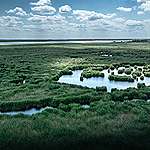 Fertő