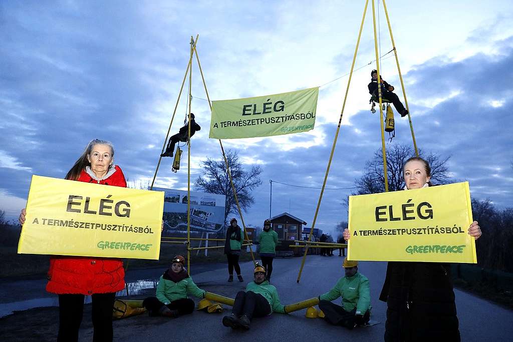 Udvaros Dorottya és Greenpeace-aktivisták a Fertő tónál követelik a kormányzati beruházás azonnali leállítását 2022-ben. © Járdány Bence / Greenpeace