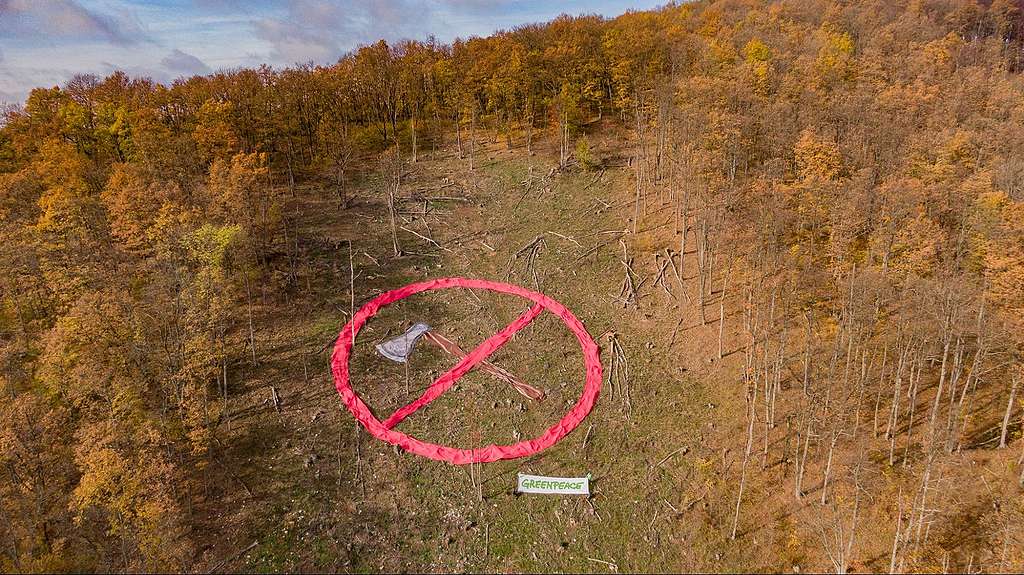 Balta a Bükki Nemzeti Parkban Balta a Bükki Nemzeti Parkban