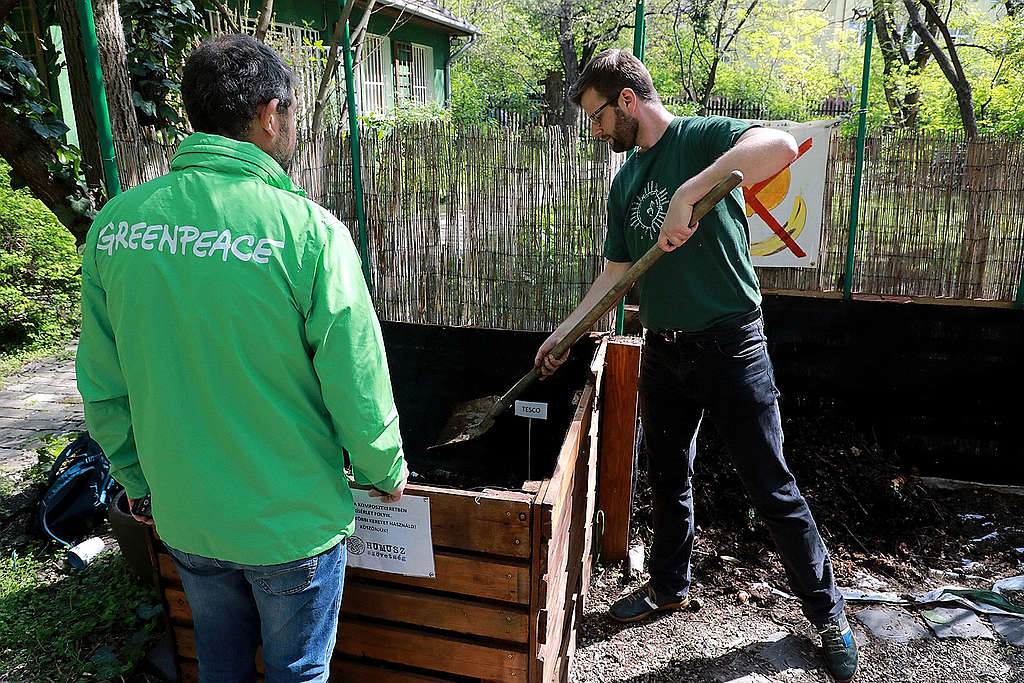 Lebomlóként árult zacskókat komposztál a Greenpeace és a Humusz, hogy felmérjék, valóban lebomlanak-e