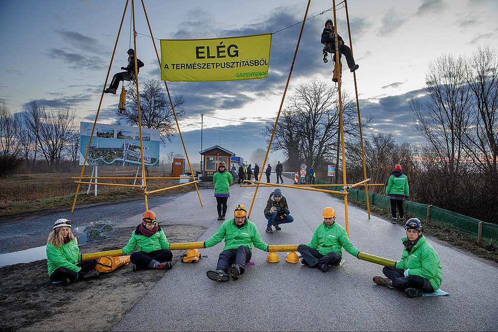 Fotó: Mitja Kobal / Greenpeace
