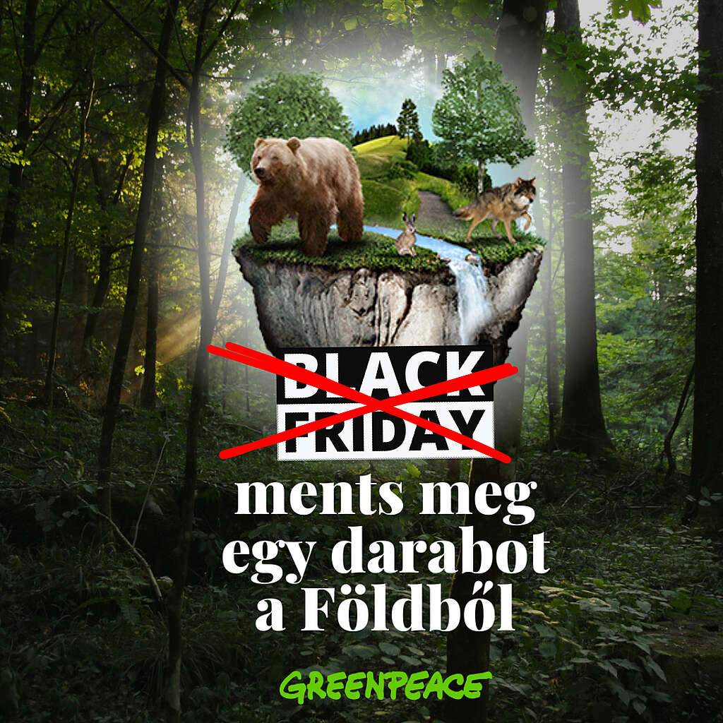 Anti-Black Friday akcióra buzdít a Greenpeace a világ megmentéséért