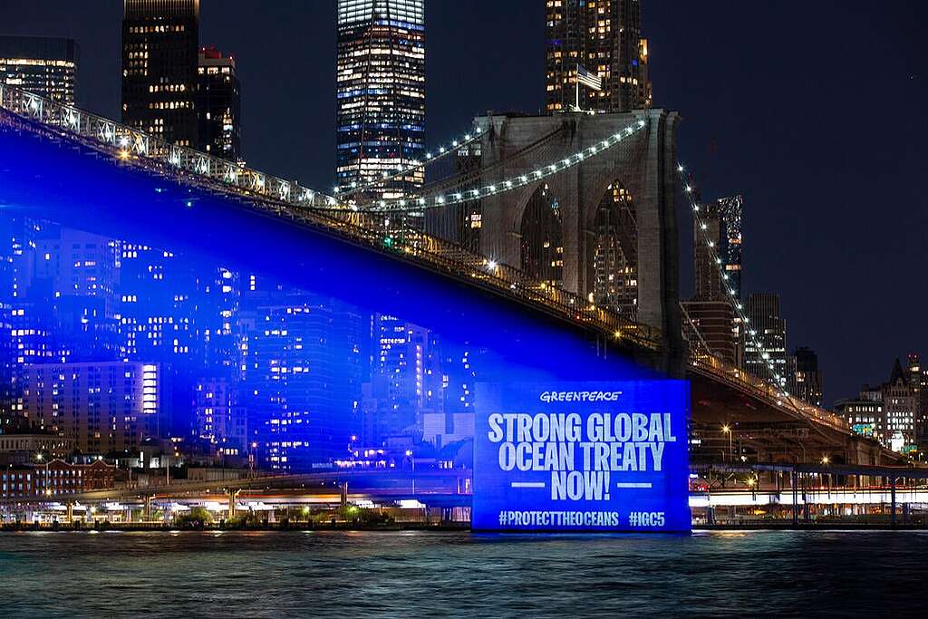 A Greenpeace USA aktivistái az óceánok védelméről szóló üzenetet vetítenek ki New York-i Brooklyn hídra, az ENSZ-ben zajló IGC5 tárgyalások előestéjén. 