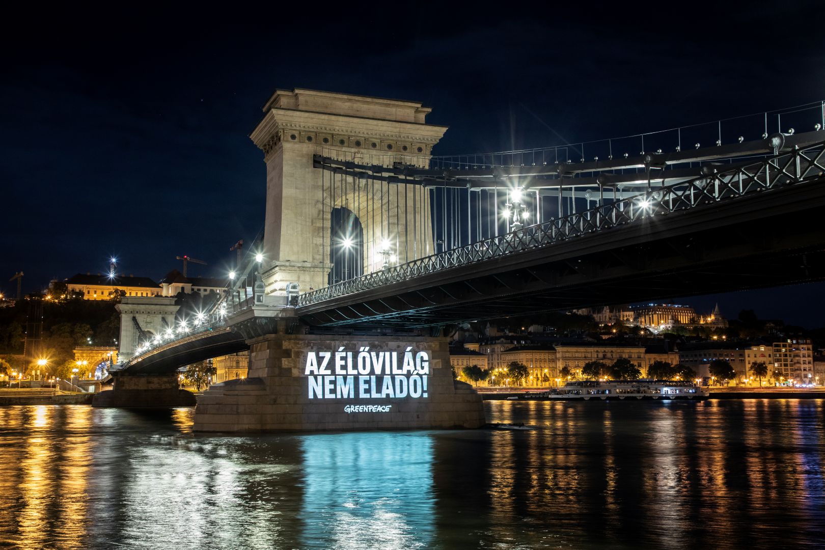 A Greenpeace egyetért a gazdákkal, meg kell állítani az EU-Mercosur szabadkereskedelmi egyezményt!