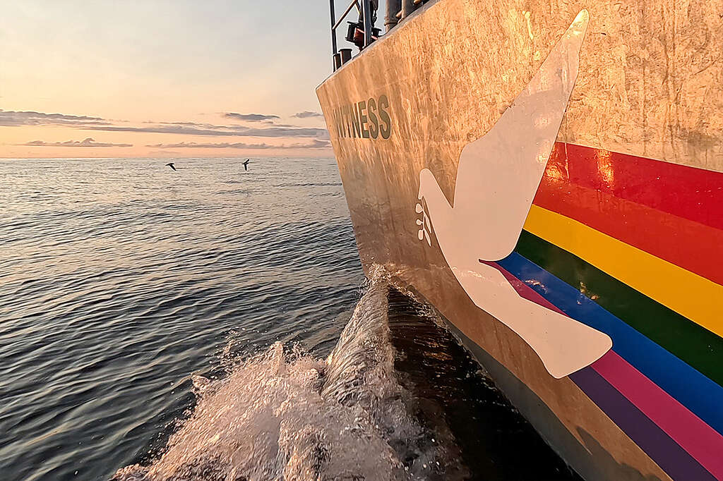 A Witness, a Greenpeace vitorlás hajója 2024 augusztusában tudományos expedícióra indul a Greenpeace Nordic, a Greenpeace Németország és kutatók csapatával. A Mélytengeri bányászat kampány részeként a 12 tagú legénység az Atlanti-óceán északkeleti sarkvidékének egy olyan régiójába hajózott, amelyet Norvégia nemrég nyitott meg a mélytengeri bányászat számára. A tudományos expedíció célja az volt, hogy hidroakusztikus és vizuális felmérésekkel további adatokat gyűjtsön a bányászat céljára kijelölt területen élő cetfélékről.
Translated with DeepL.com (free version)